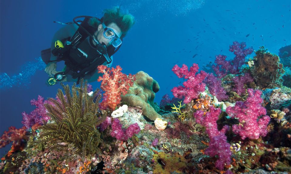 Sharm El Luli