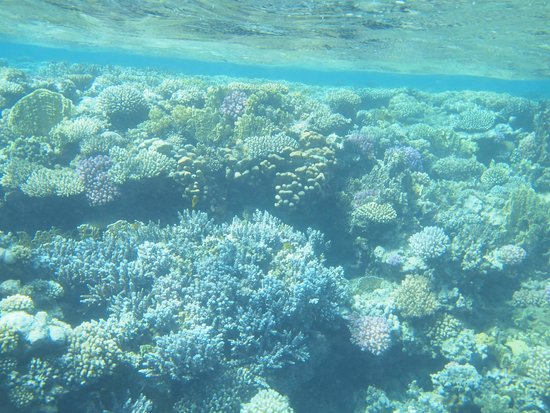 Sharm El Luli
