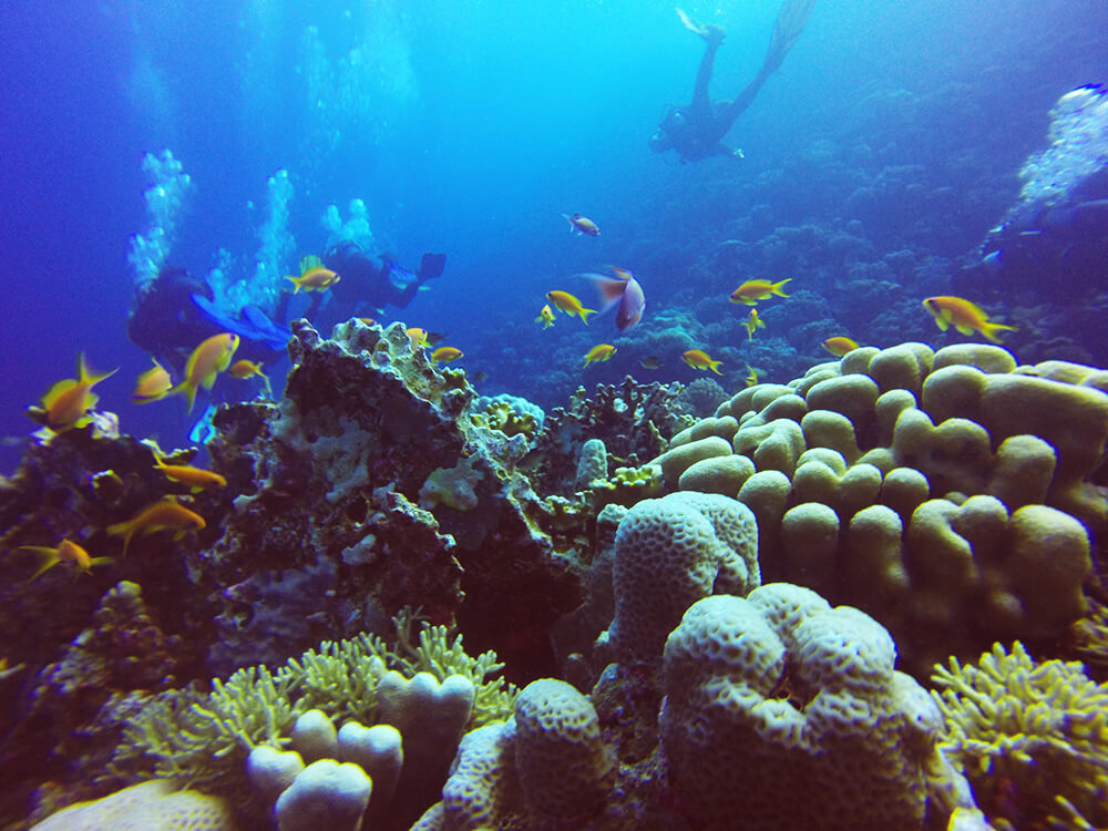Hamata Island