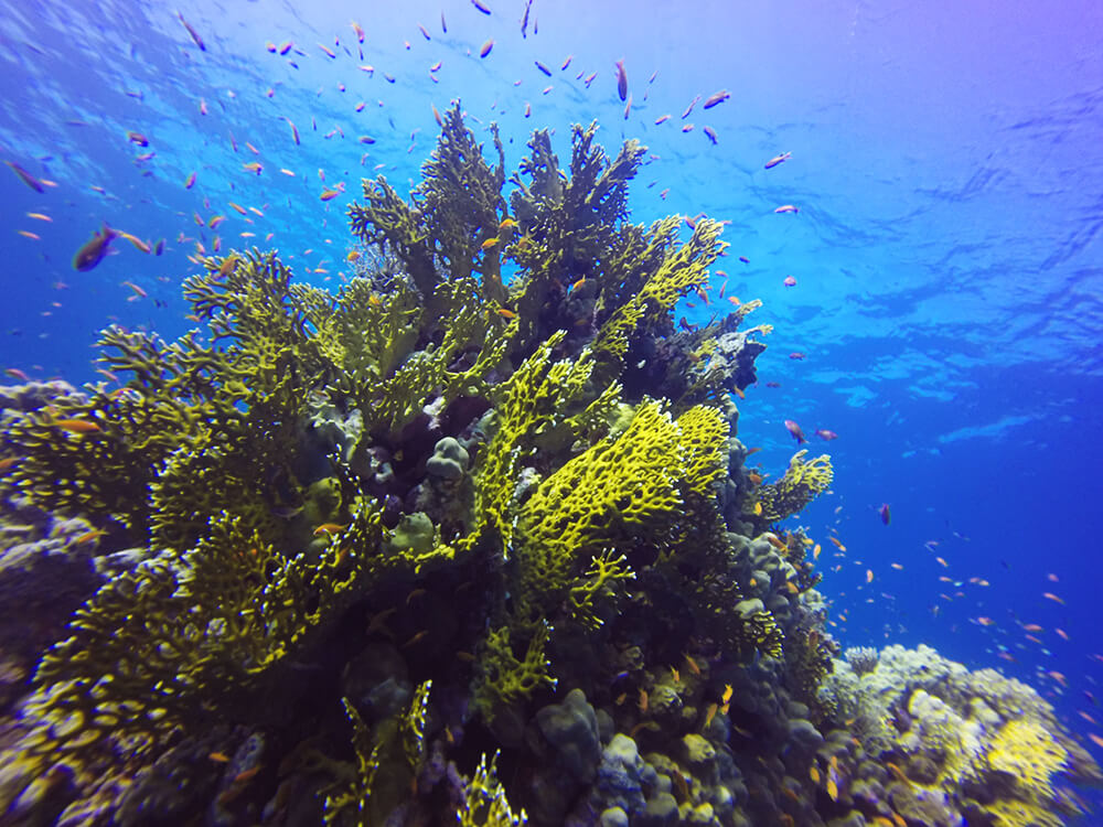 Hamata Island