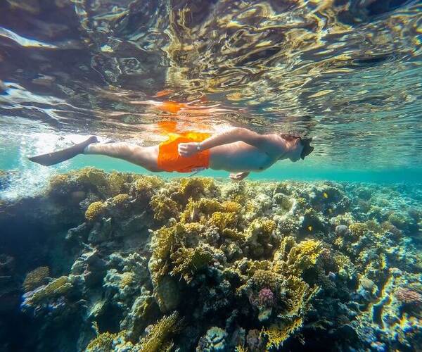 Snorkeling Trip